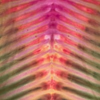 Image 4 of AUTUMN DRIPPY V TIE DYE LONG SLEEVE YOUTH TEE SIZE XL