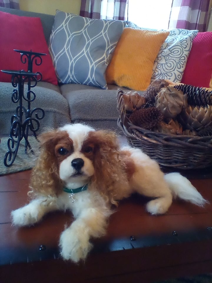 Image of 12"Blenheim Cavalier King Charles Spaniel