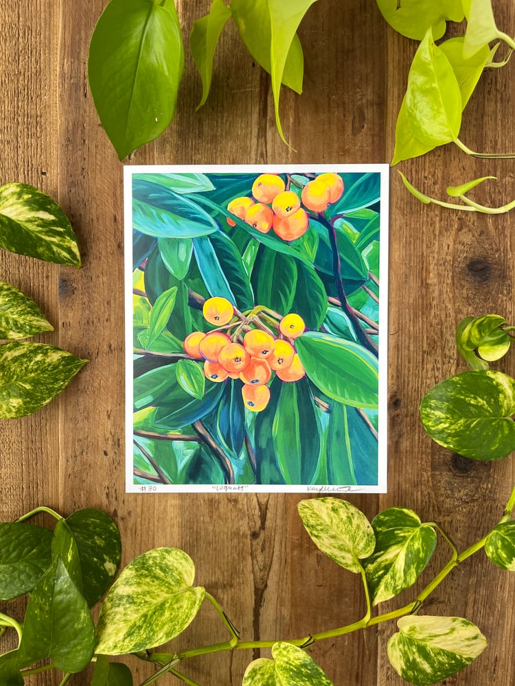 Image of “Loquats” Print