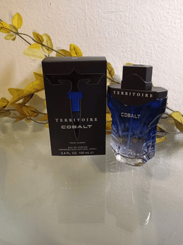 Territoire Eau De Parfum, Men's Cologne (Cobalt) 