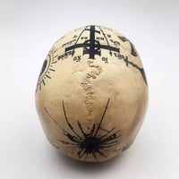 Image 3 of 1/1 Russian criminal skull