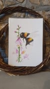 Bee with pink flowers watercolour A4