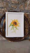 Sunflower watercolour A4 Framed