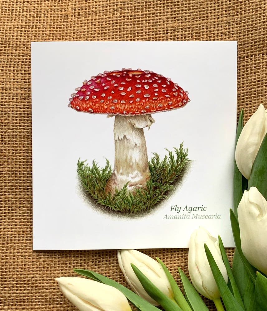 Image of Fly Agaric Greetings Card