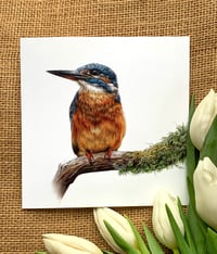 Image 1 of Kingfisher II Greetings Card