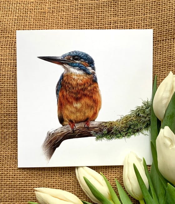 Image of Kingfisher II Greetings Card
