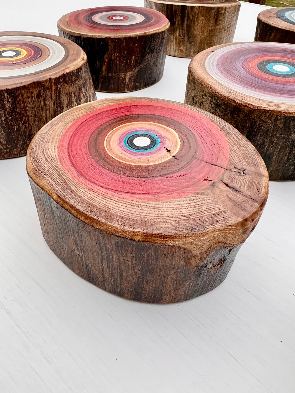 Modern wood Tree Ring artwork.