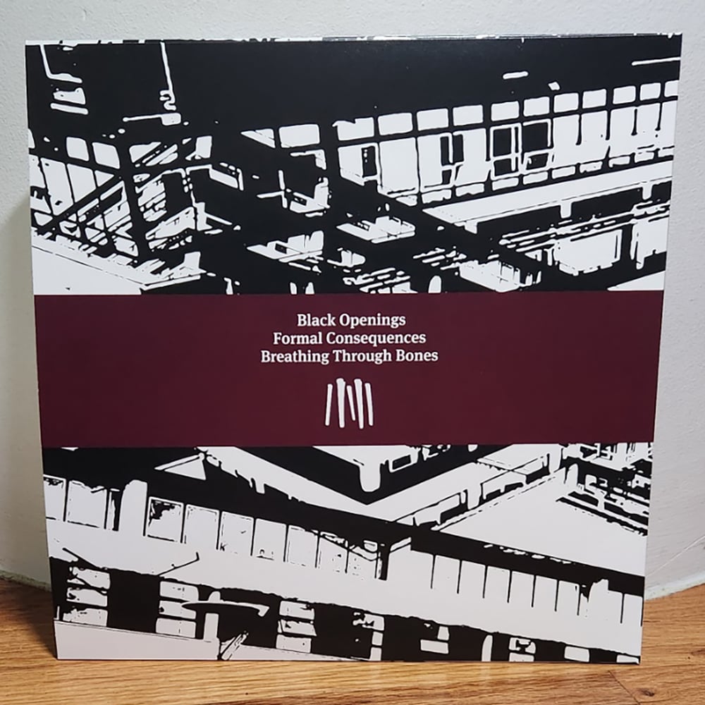 Anatomy of Habit "Black Openings" LP