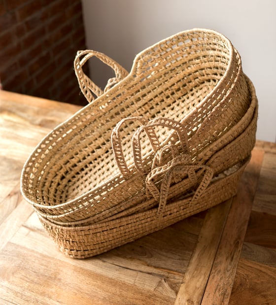 Image of NEW Moses basket  6-18 months