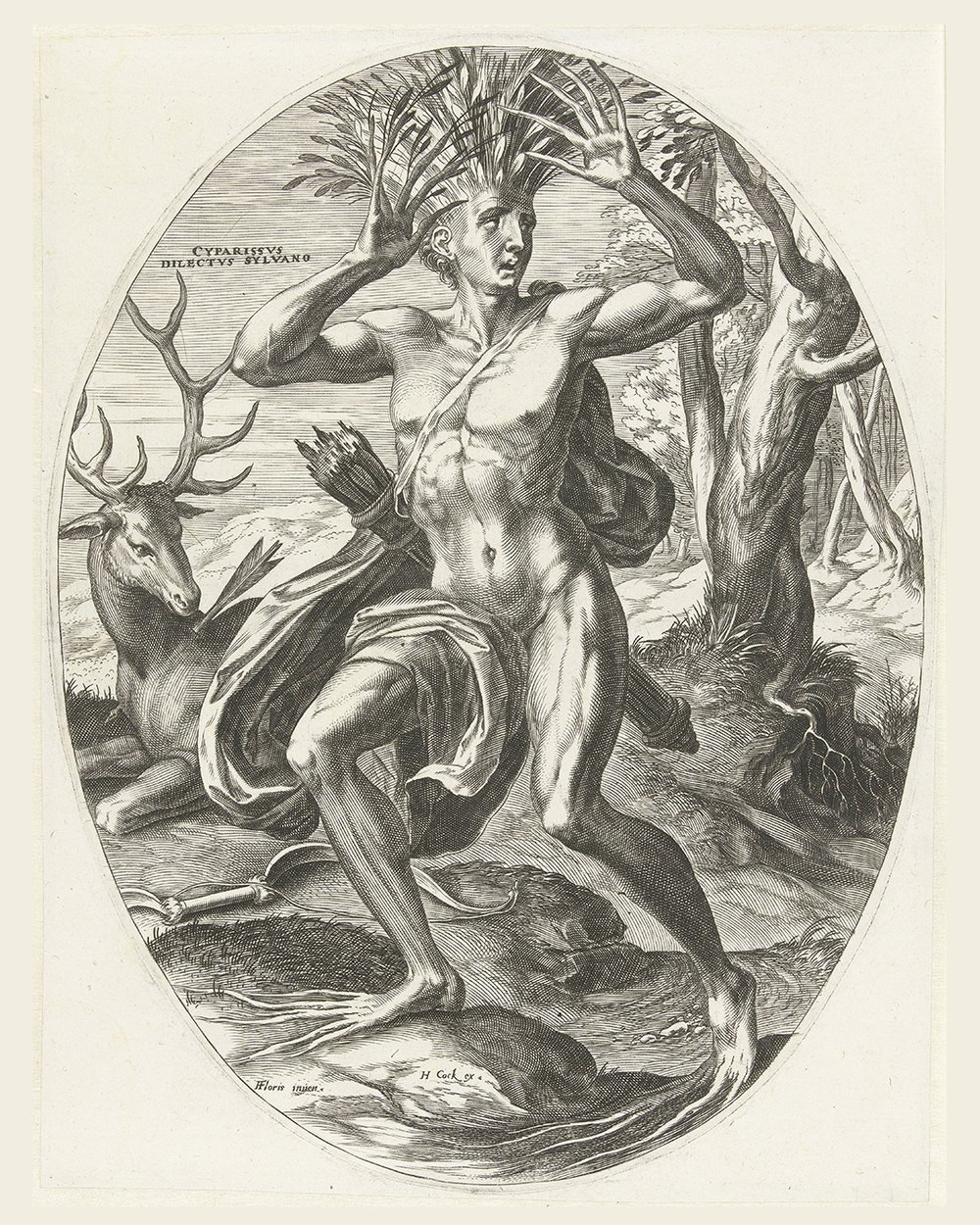 ''Cyparissus''  (1565)