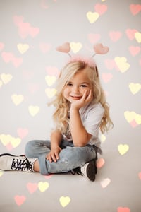 Image 1 of Valentines Day Mini 