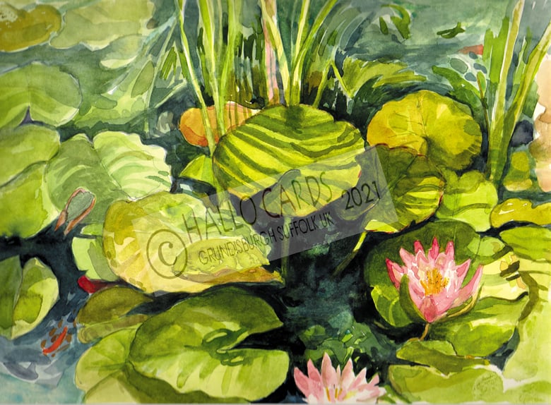 Image of Water Lilies - HL164