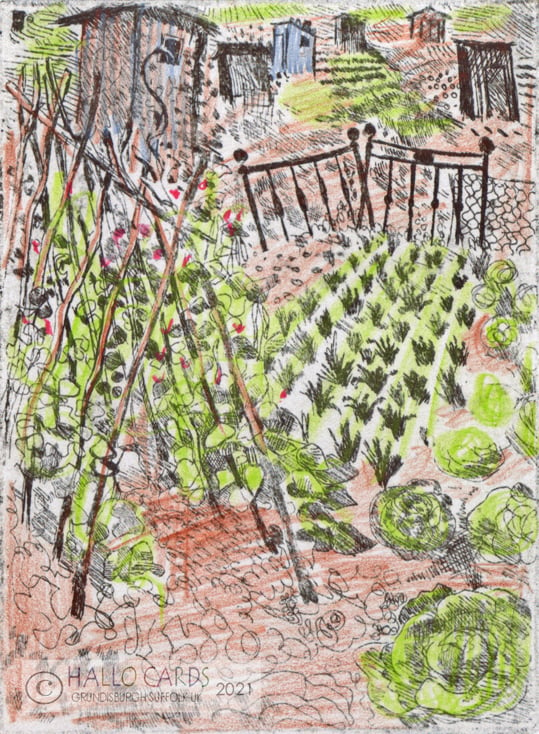 Image of Allotments - HL151