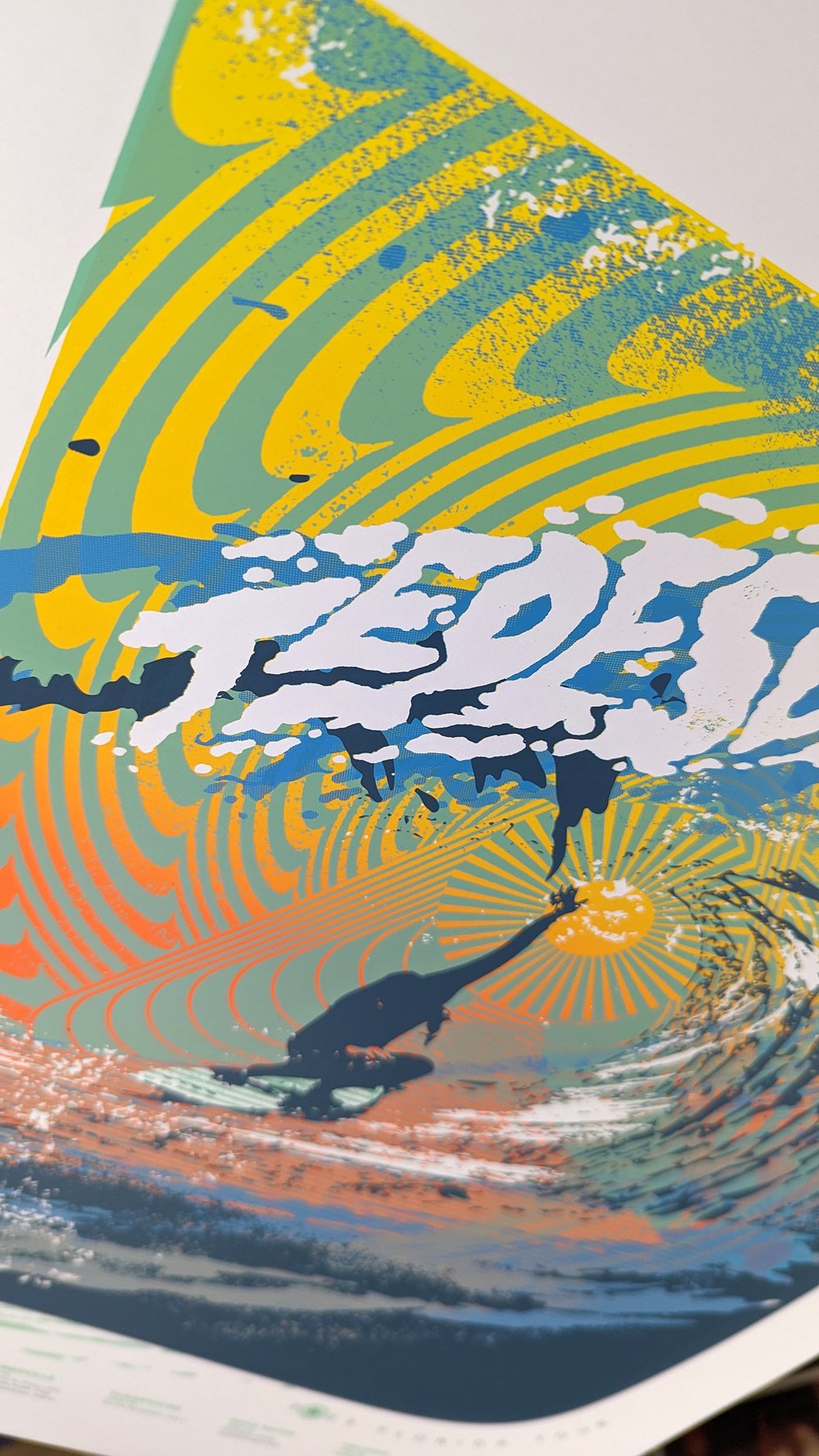 Tedeschi Trucks Band - Florida Tour Poster, 2023
