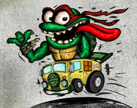 Turtle Fink