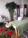  Massage and Sound healing Session