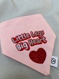 Image 2 of Little Legs Big Heart 