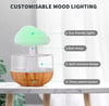 Rain Cloud Humidifier