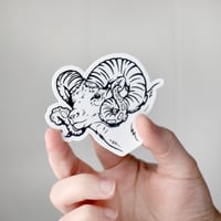 Image 1 of Sheepish Vinyl Sticker