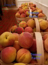 Image 3 of Canned Peaches 16 oz.