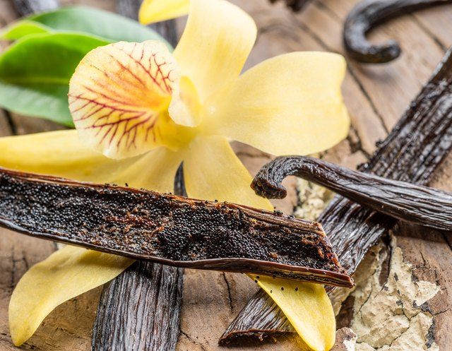 True/ Pure Cold-Pressed DARK Mexican Vanilla Extract (8.11 oz.)