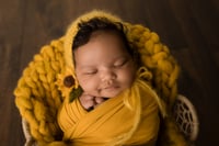 Image 1 of Petite Newborn Session | $475 Plus Tax