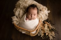 Image 4 of Petite Newborn Session | $475 Plus Tax