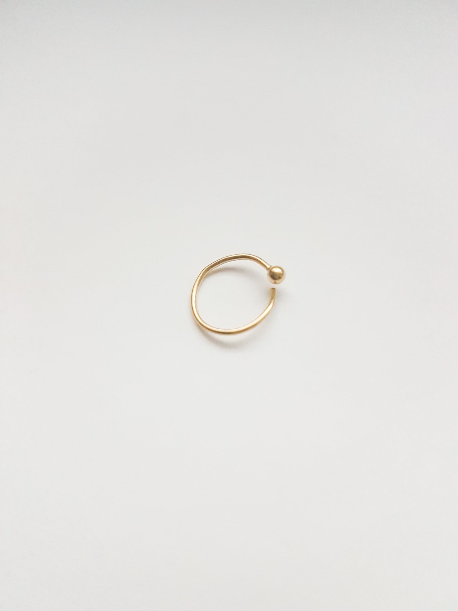 Image of Nose Ring with Little Detail