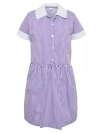 Image 1 of Daiglen School Summer Dress 