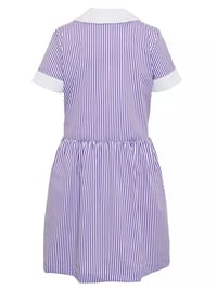 Image 2 of Daiglen School Summer Dress 