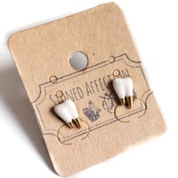 Image 1 of Ceramic & Gold Miniature Tooth Earrings