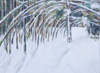Bamboo Snow