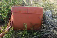 Image 5 of Roberta naturel