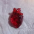 Anatomically correct heart lapel pin  Image 2