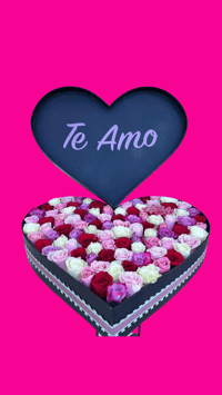 Te Amo Corazon