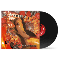 Vinyle - It All Went Bad Somehow