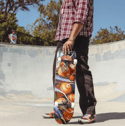 Roots Skateboard