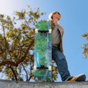 Dippy Skateboard