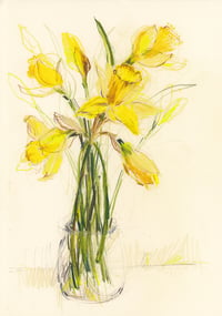 Daffodils no. 2