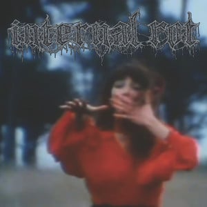 Image of INTERNAL ROT - MENTAL HYGIENE 12"