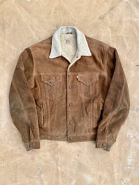 Image 1 of LEVI'S SHORTHORN SHEEPSKIN SUEDE JACKET