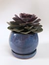 Planter