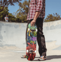 Pennsylvania Wildflowers Skateboard