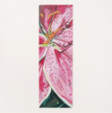 Stargazer Mat