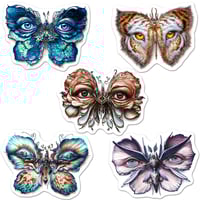 Image 2 of Lepidoptera 6–10 Pack O' Stickers