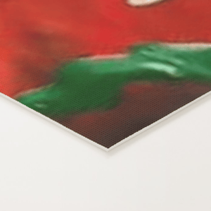 Image of Pansy Petals Series One Mat