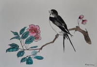 Swallow on a Peach tree branch