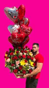 Arreglo Sin Globos