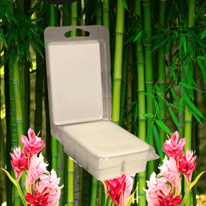 Bamboo & Sweet Ginger