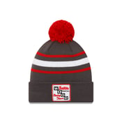 Image of Gray Beanie with Pom
